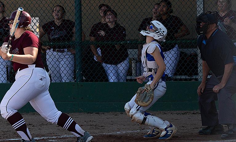 Softball Sweeps Home DH